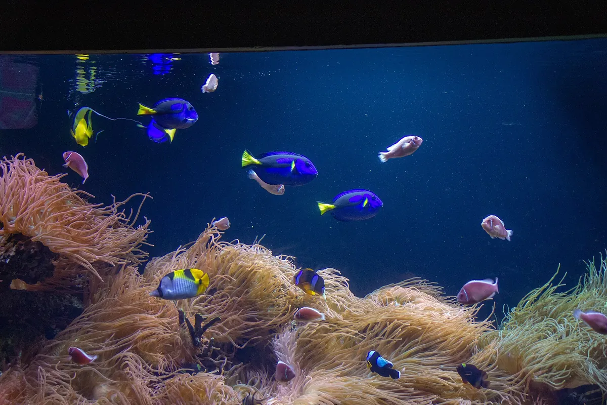 Long Island Aquarium and Exhibition Center