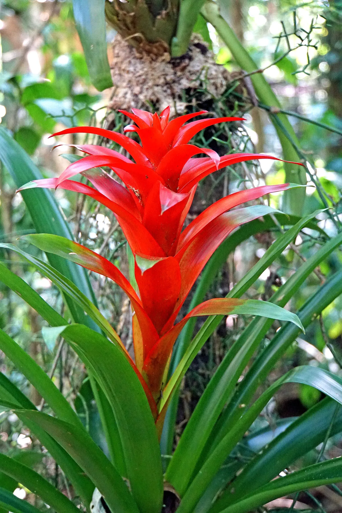 Parque das Aves