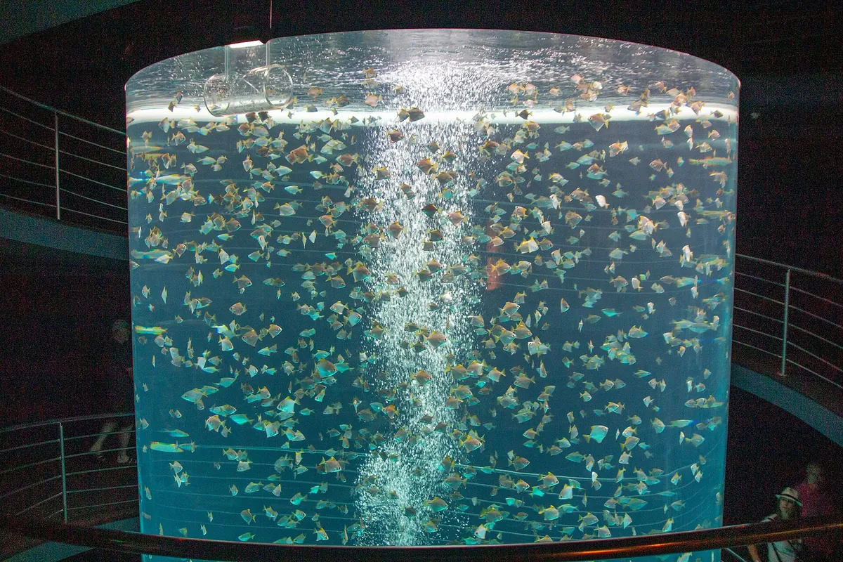 Loro Parque