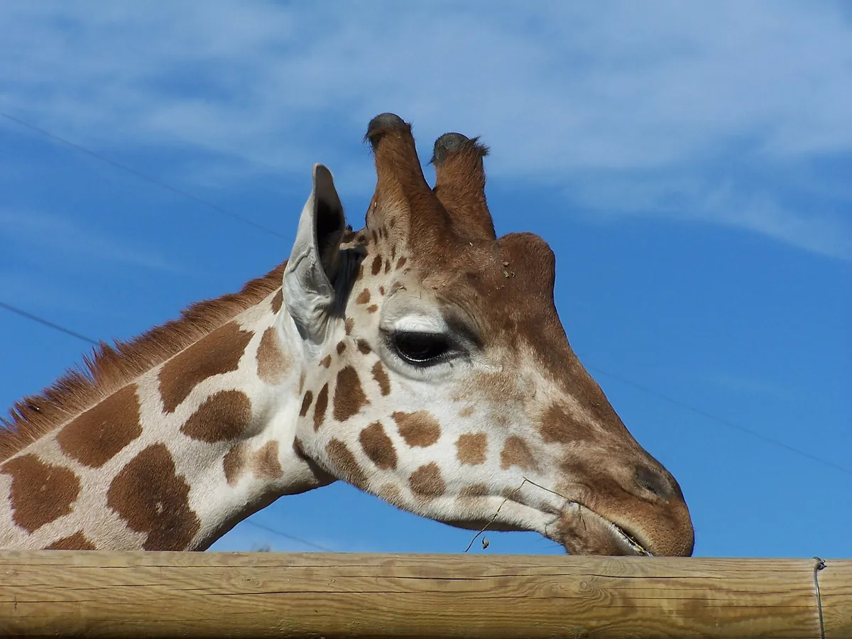 Terra Natura Murcia