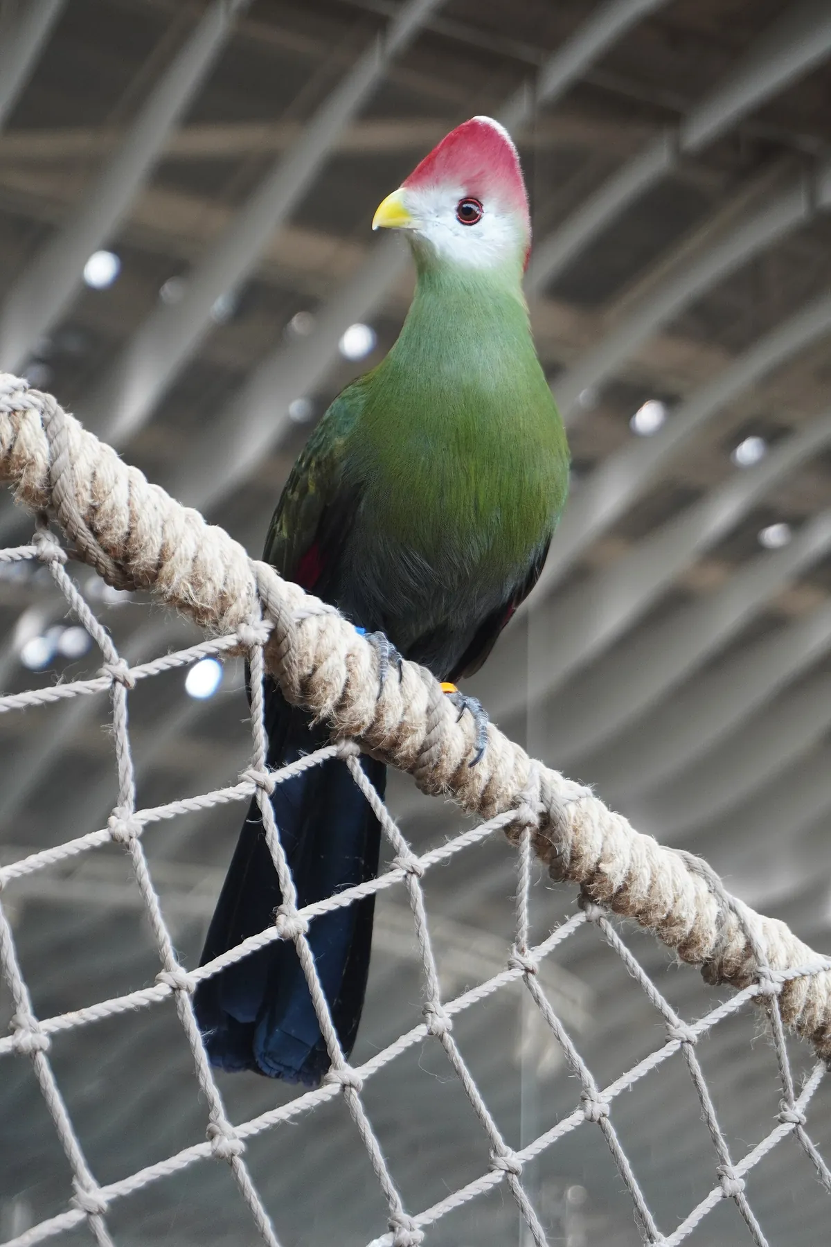 SeaWorld Abu Dhabi