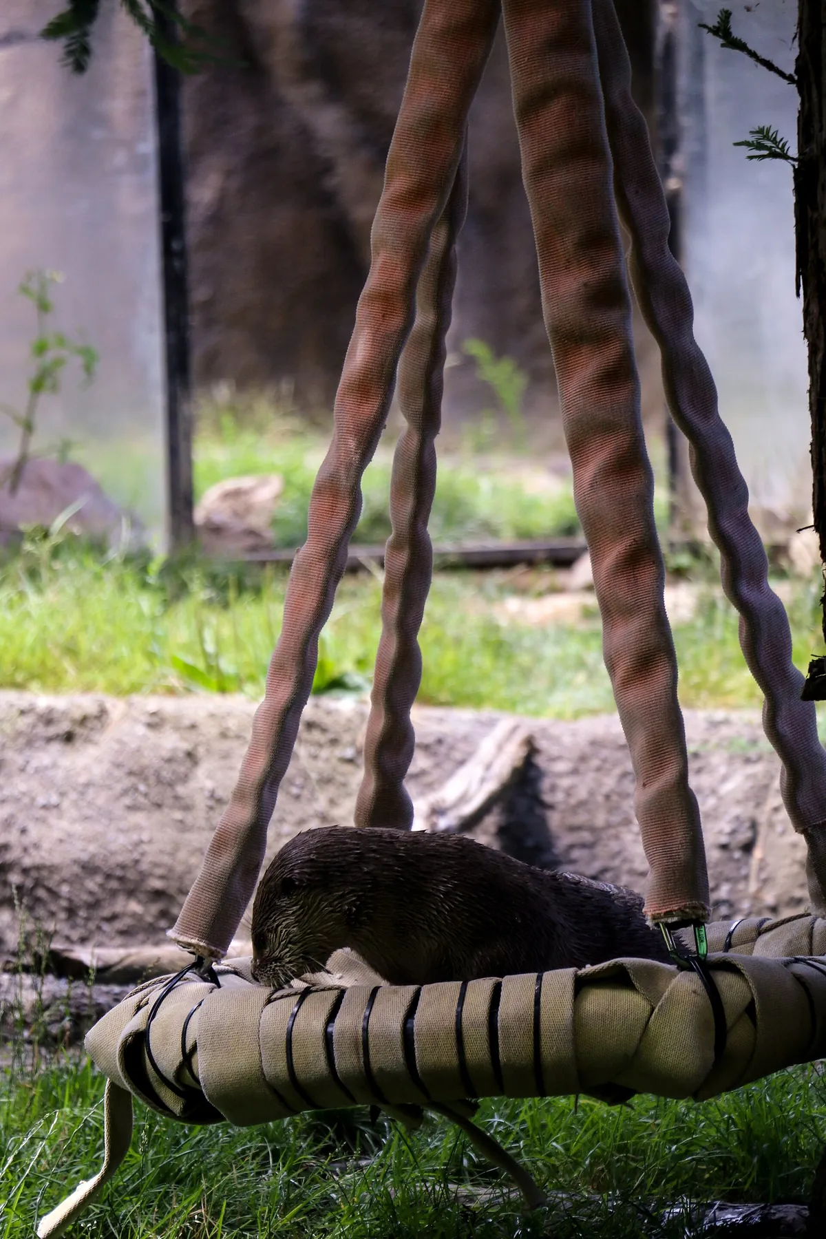 Oakland Zoo