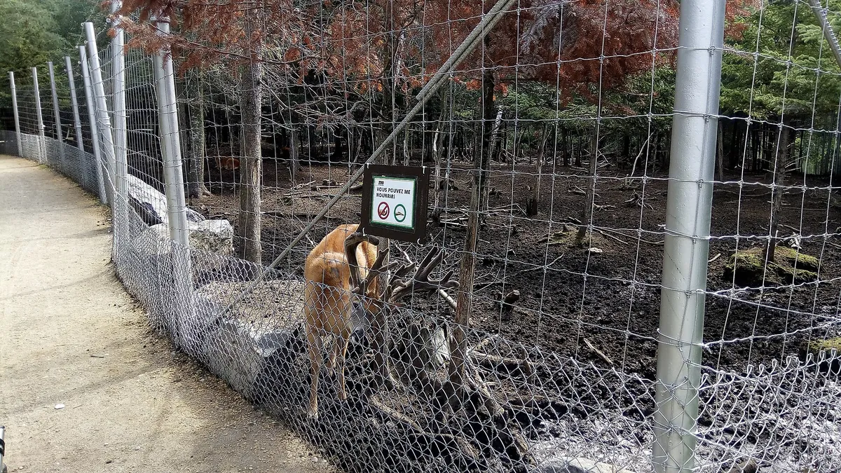 Zoo de Falardeau