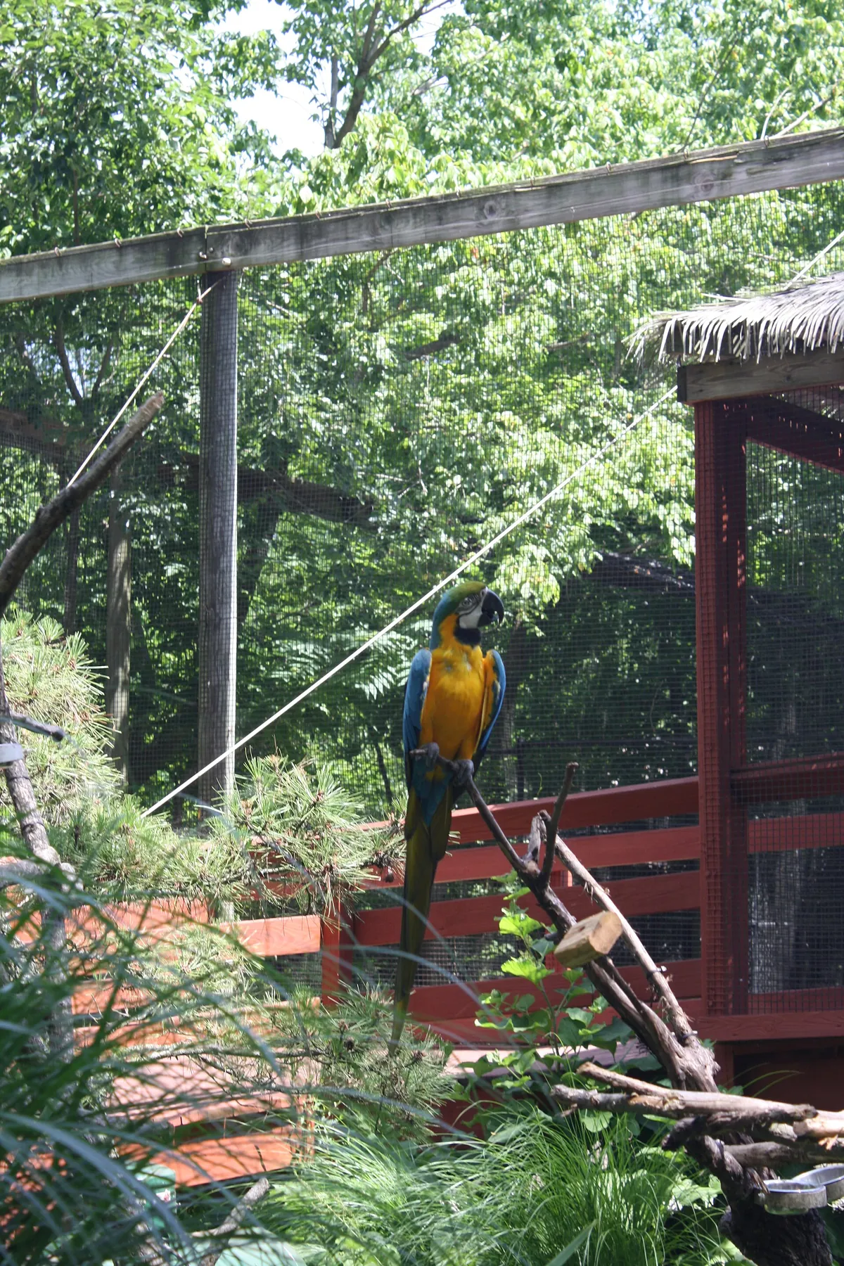 Elmwood Park Zoo