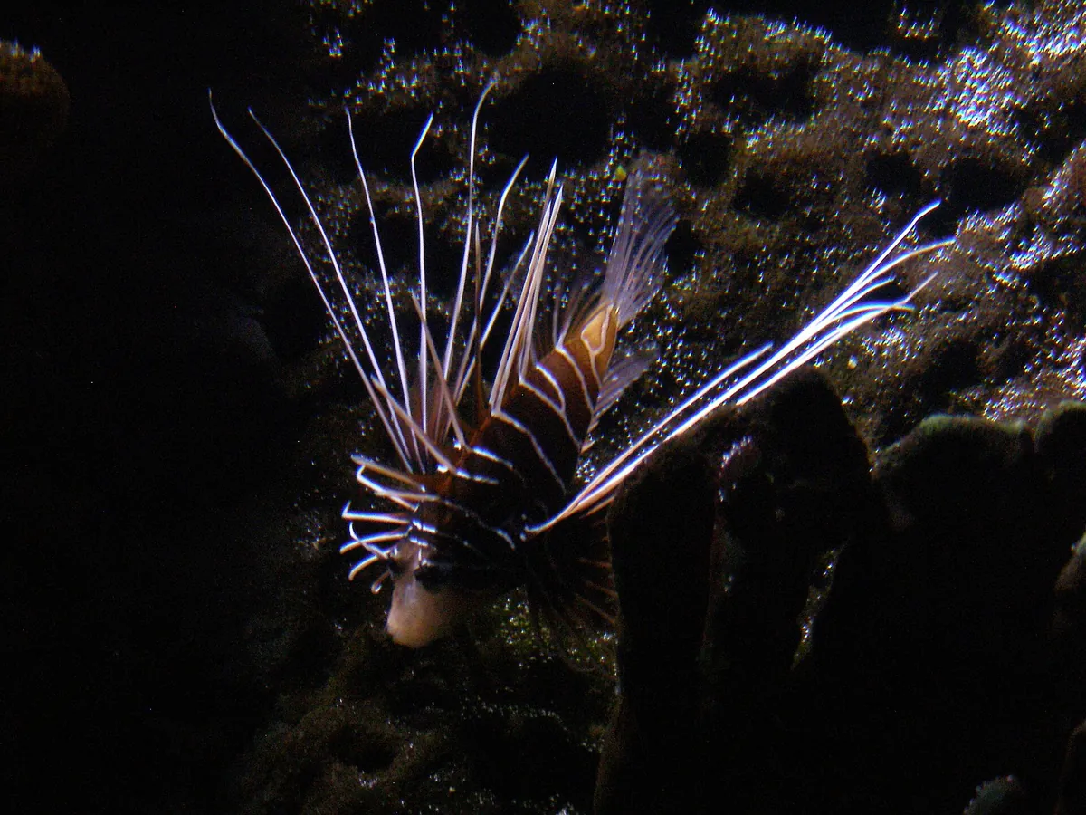 Sylt Aquarium