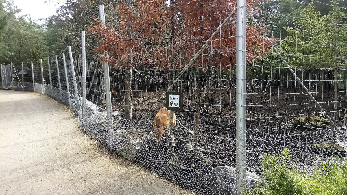 Zoo de Falardeau
