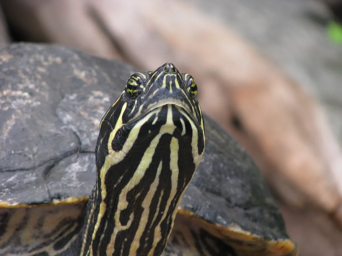 North Carolina Aquarium on Roanoke Island