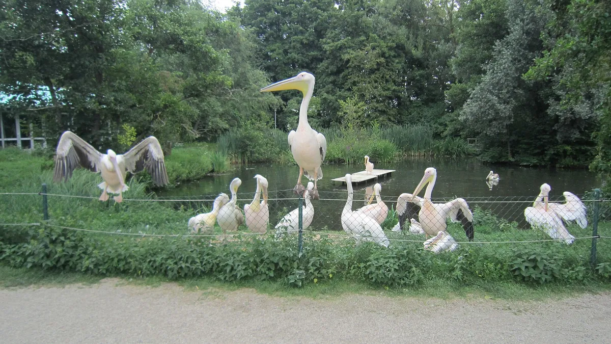 Tiergarten Straubing