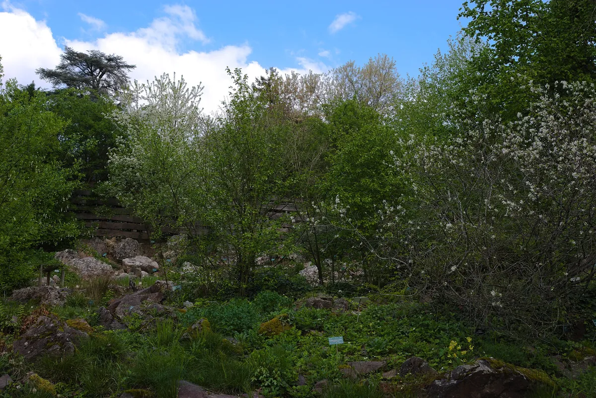 Zoo de Mulhouse