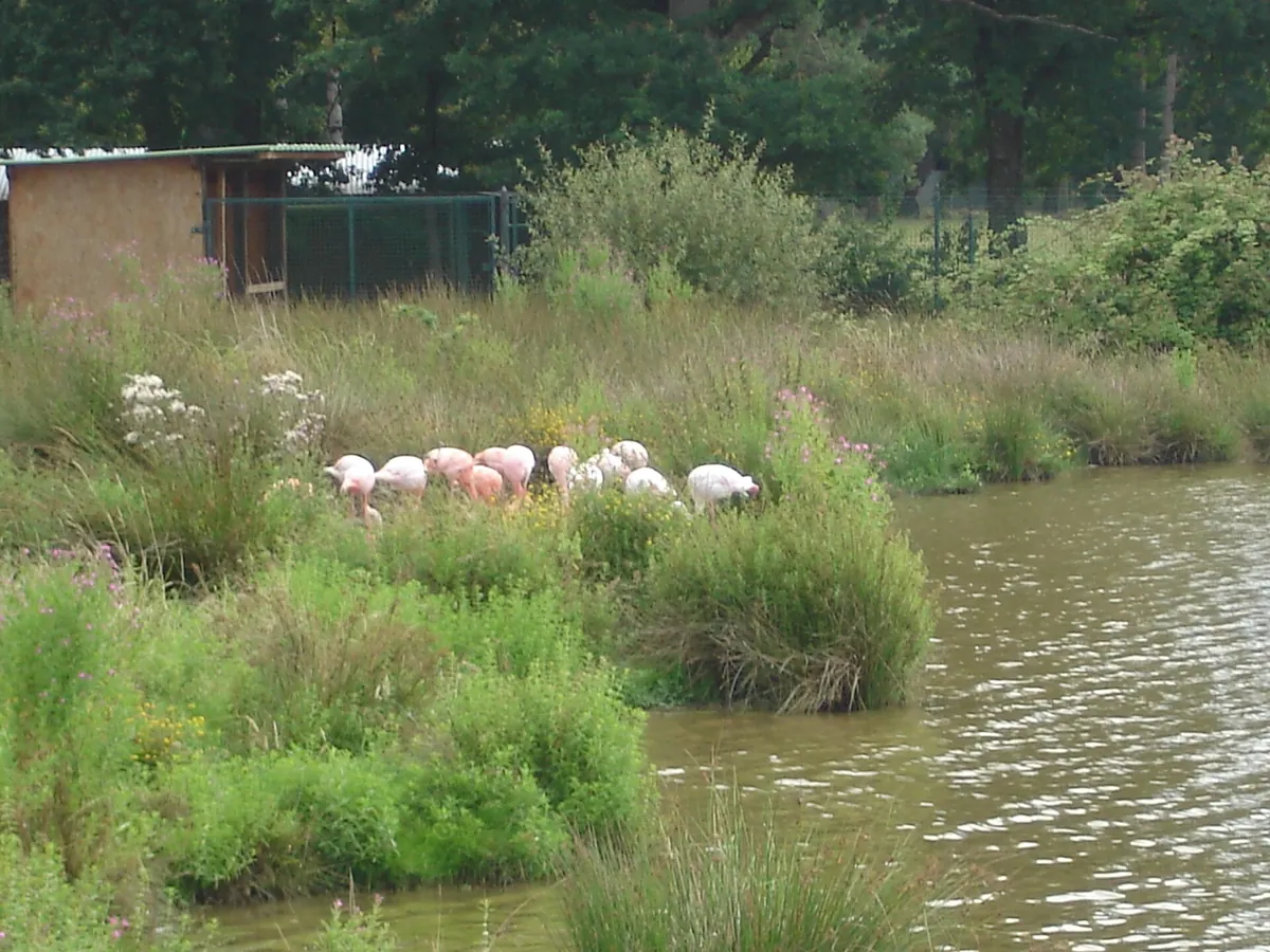 Haute Touche Zoological Park