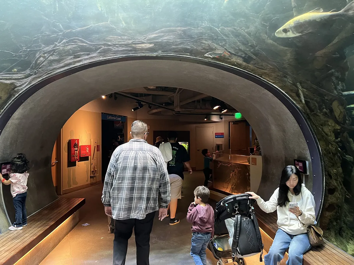 Steinhart Aquarium