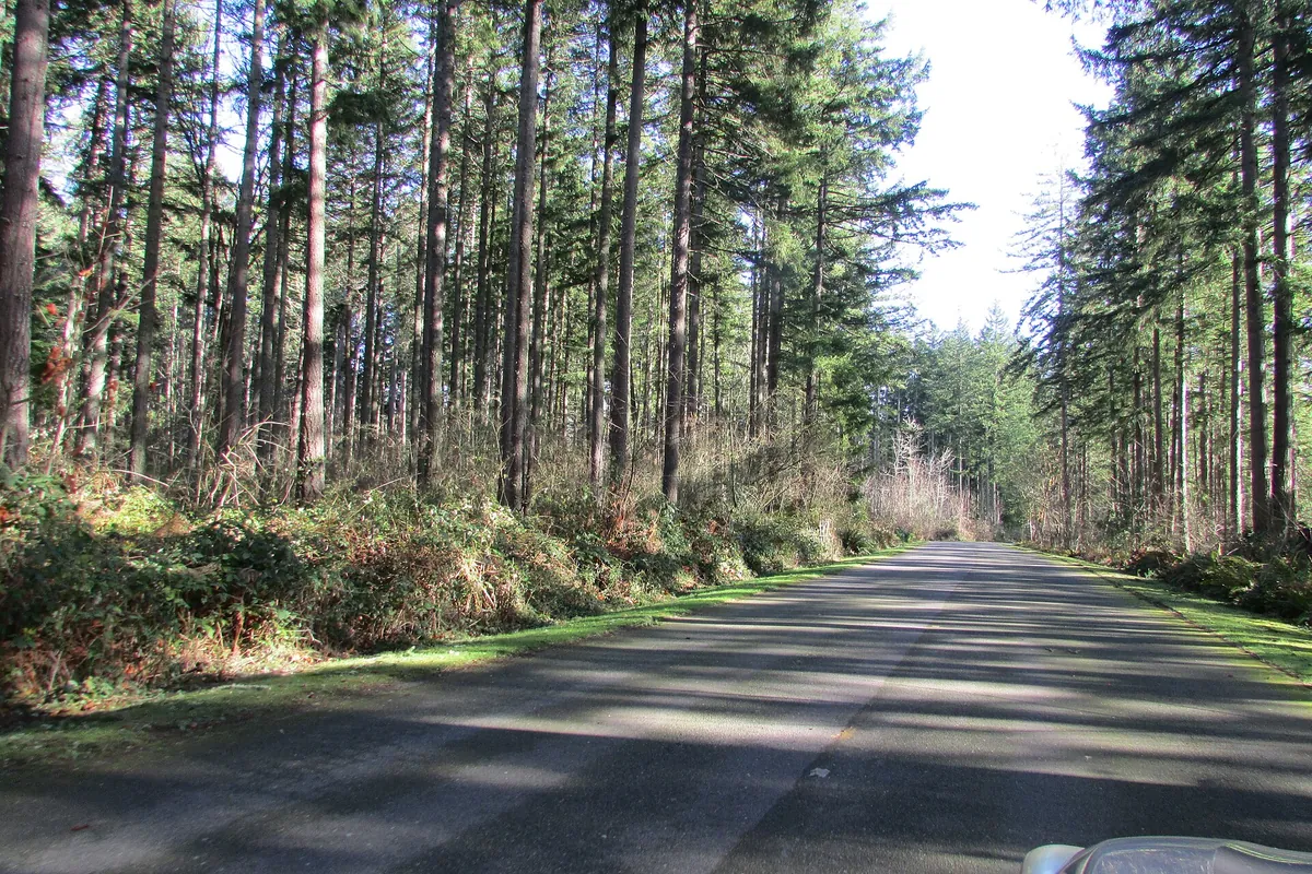 Northwest Trek Wildlife Park