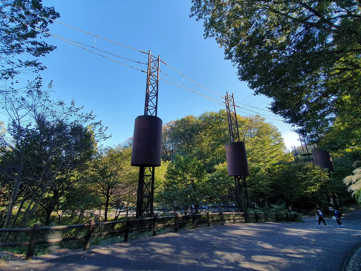 Tama Zoo