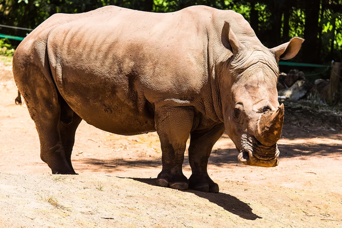 Zooparque Itatiba
