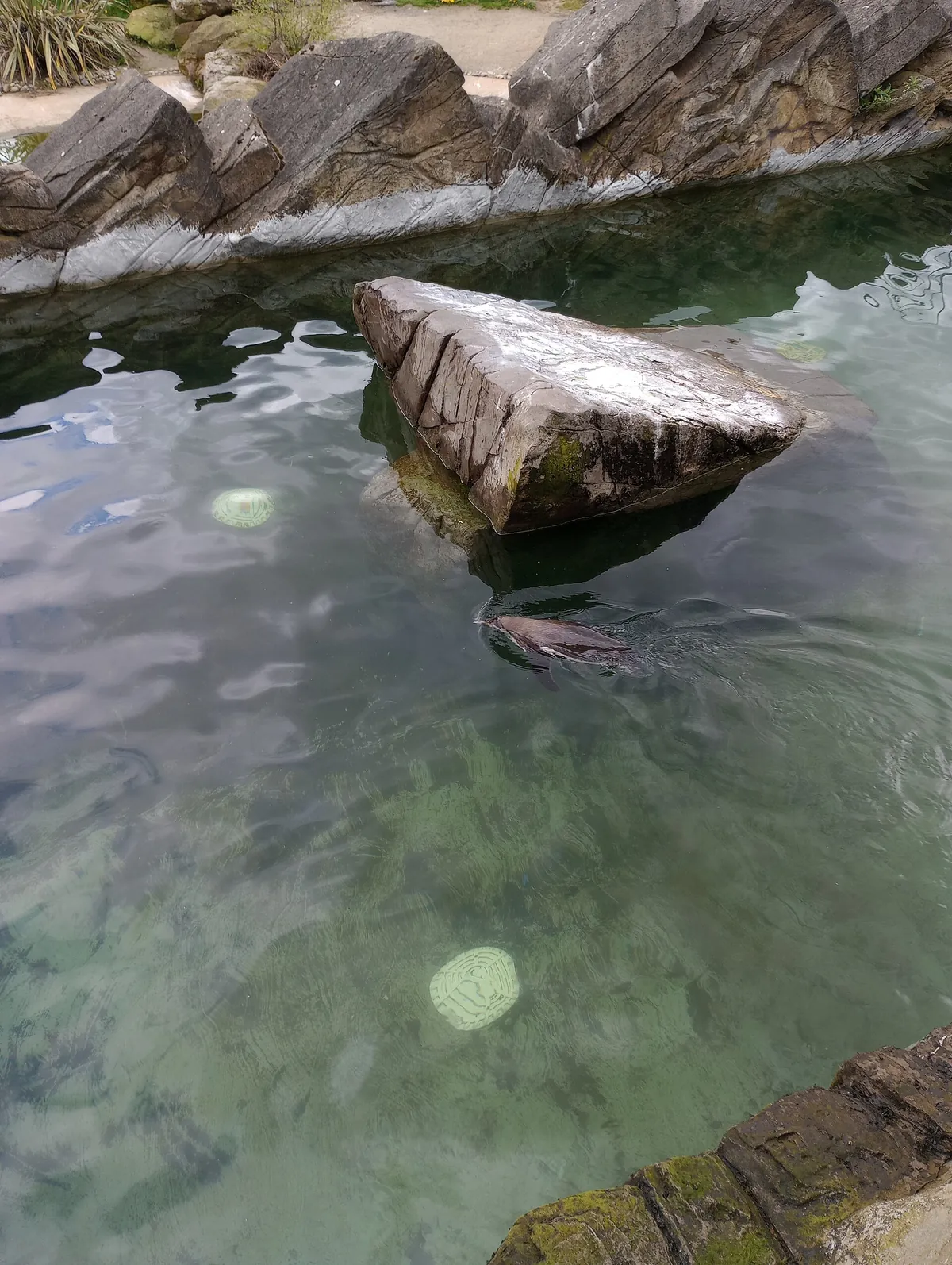 Peak Wildlife Park