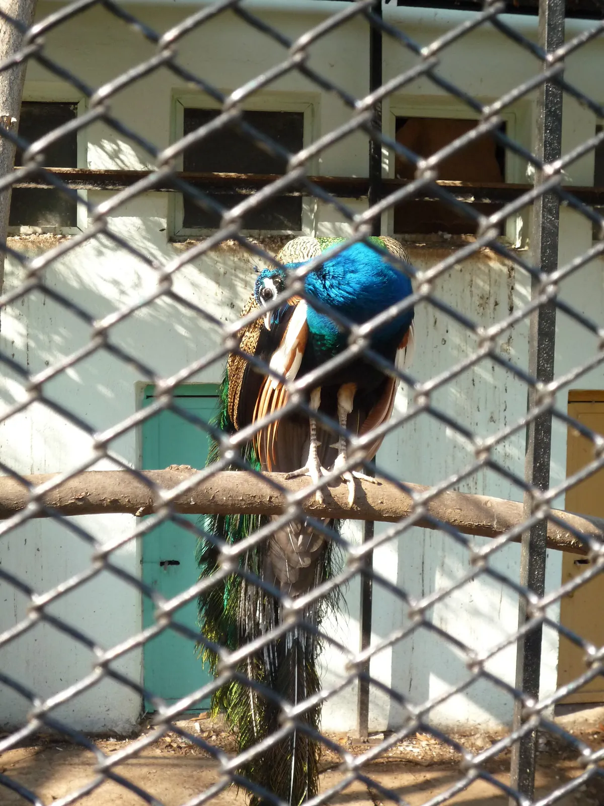 Lovech Zoo
