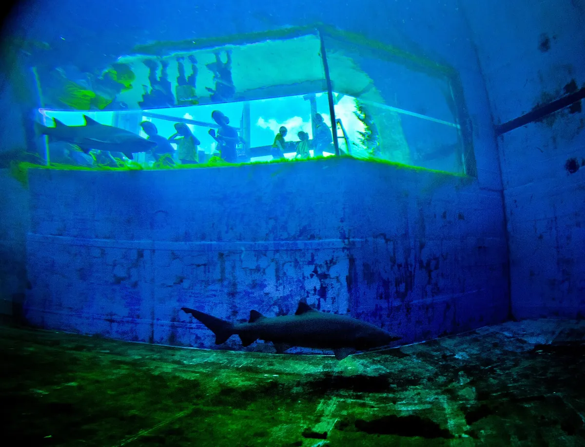 Pittsburgh Zoo and Aquarium