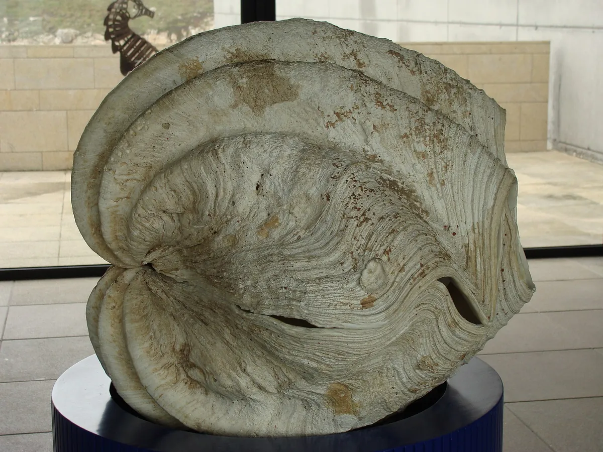 Aquarium Finisterrae
