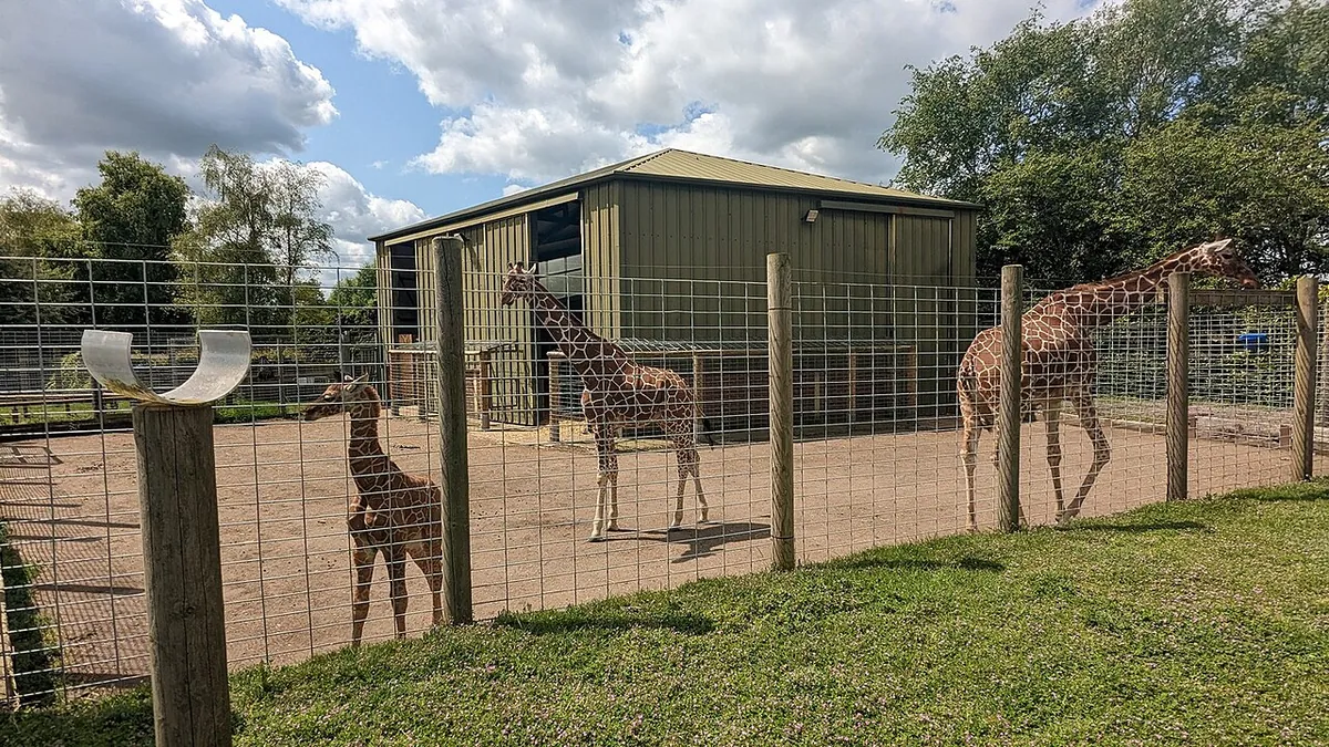 Africa Alive Zoological Reserve