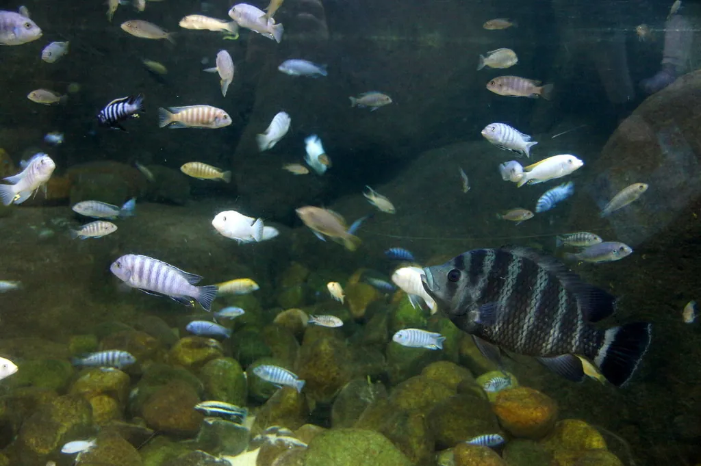 Blue Planet Aquarium