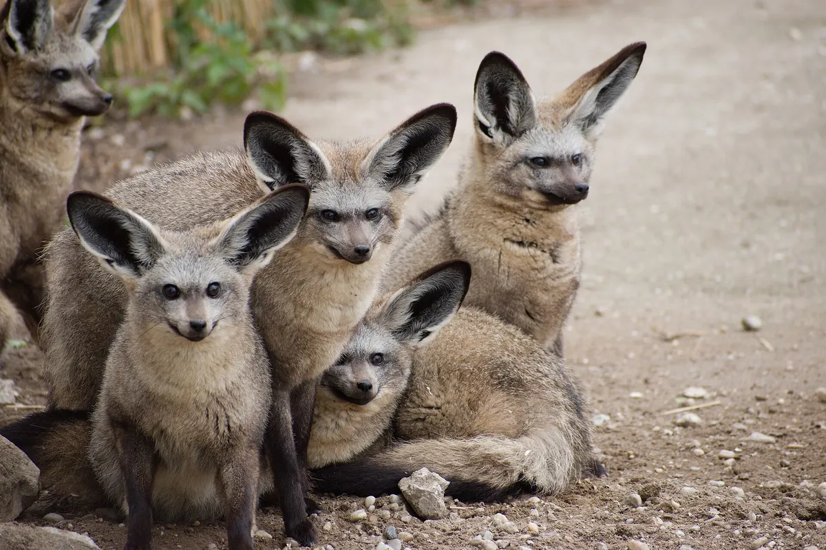Bratislava Zoo