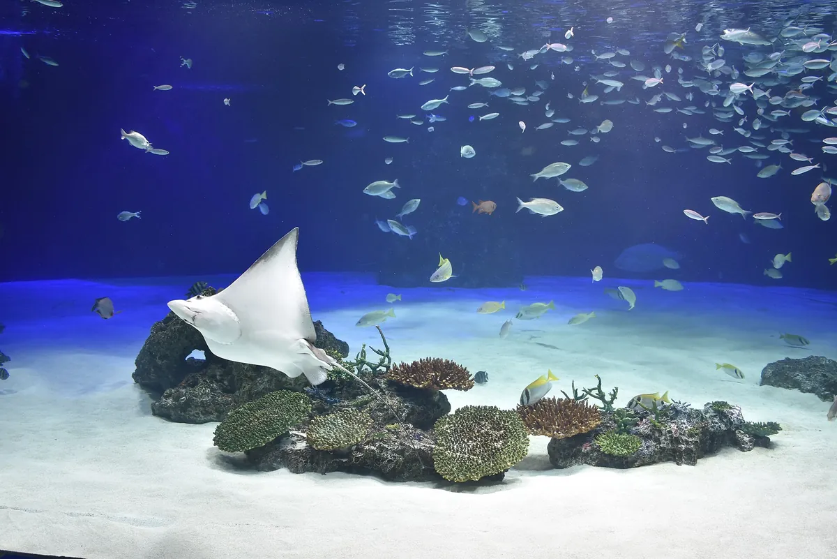 Sunshine Aquarium