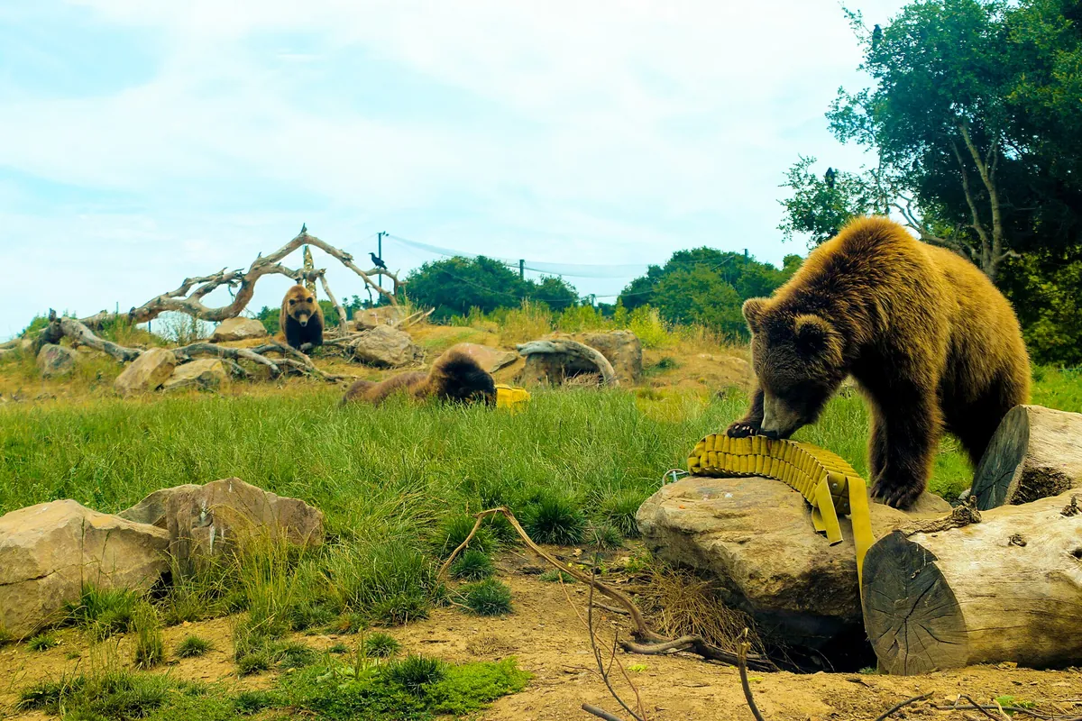 Oakland Zoo