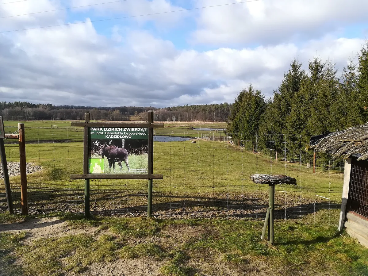 Kadzidłowo Zoo