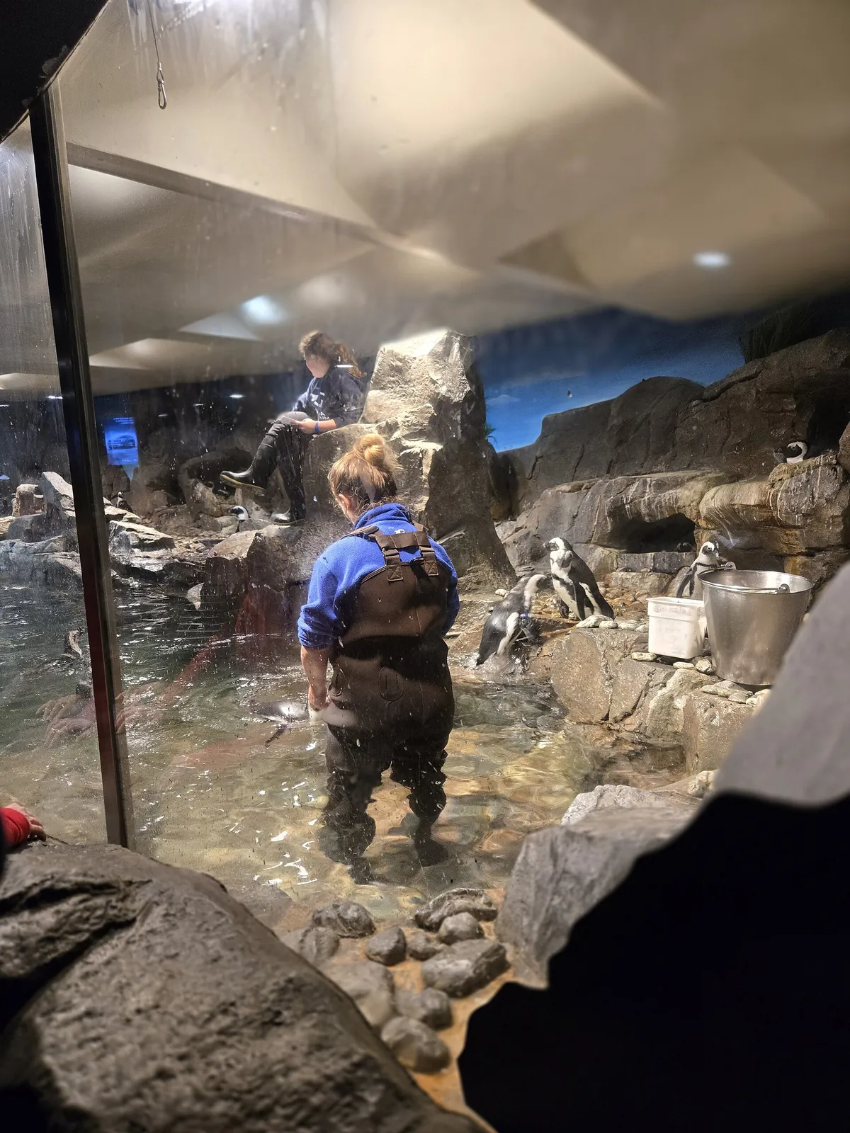 Georgia Aquarium