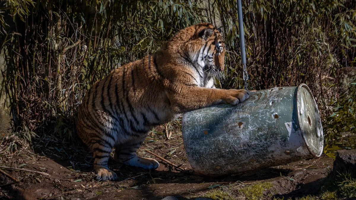 Oregon Zoo