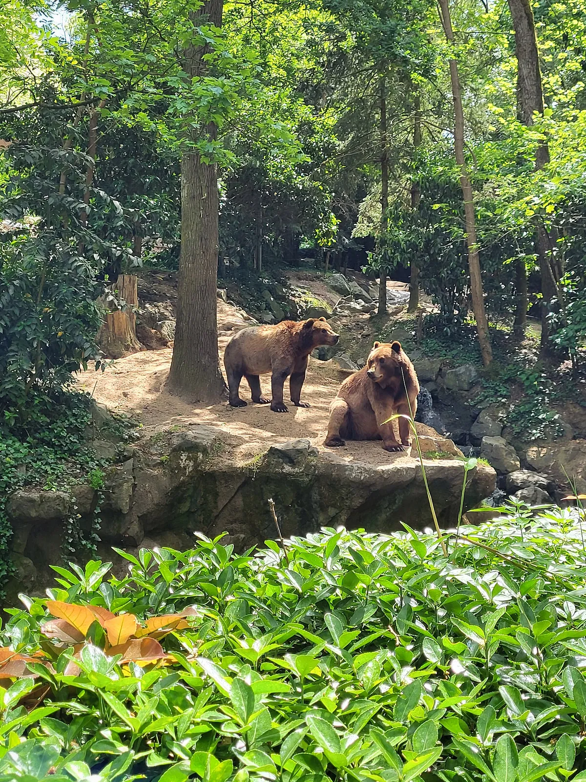 Zoo de La Flèche