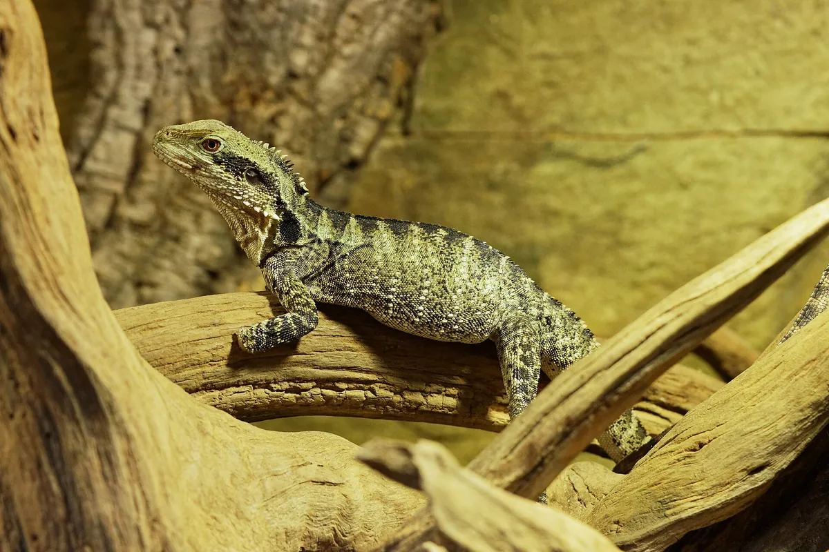Aquarium du Périgord noir