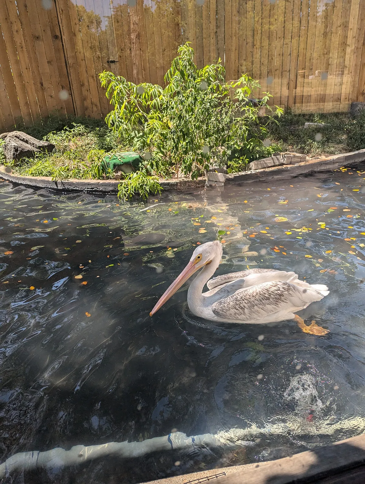 Kansas City Zoo