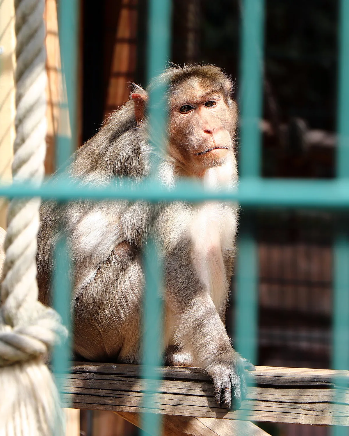 Tierpark Eilenburg