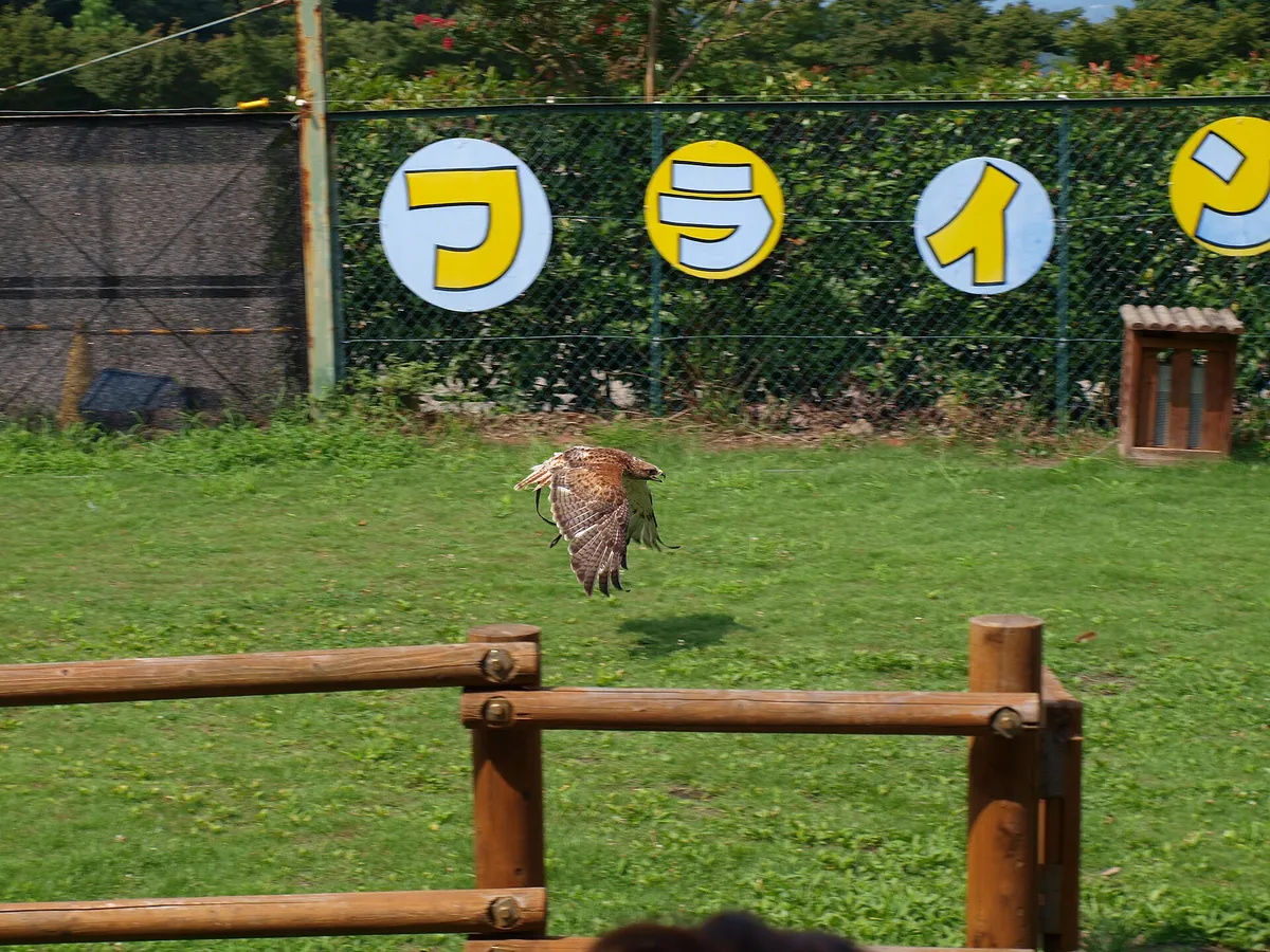 Gunma Safari Park