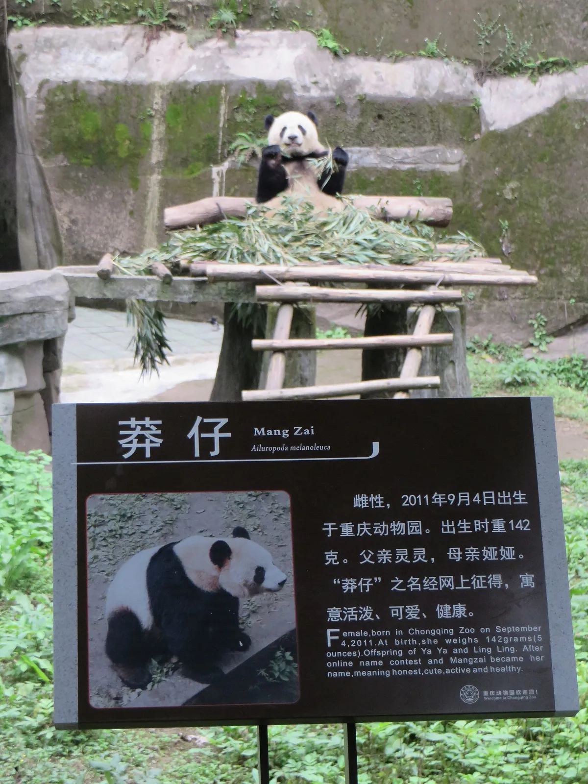 Chongqing Zoo