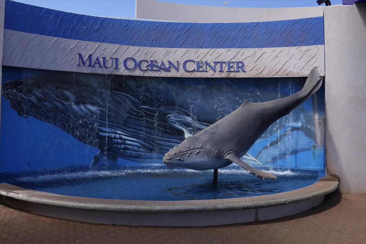Maui Ocean Center