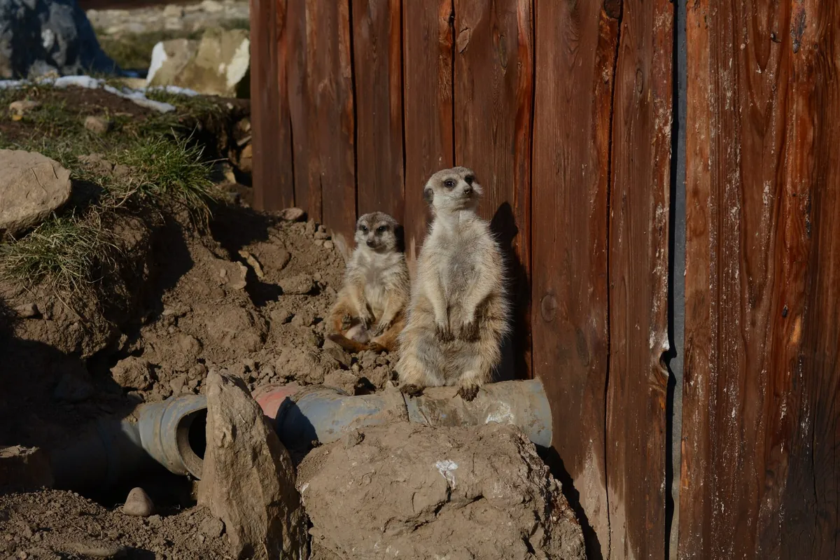 Zoopark Zelčín