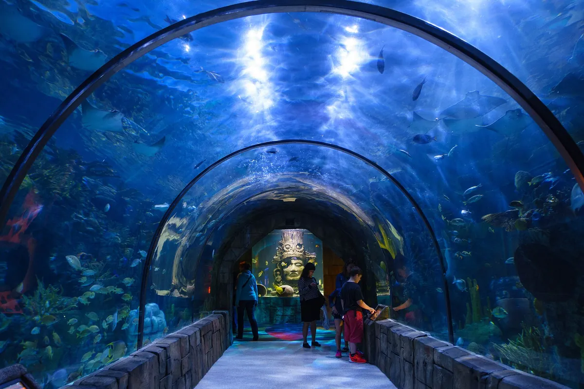 Aquarium of the Americas