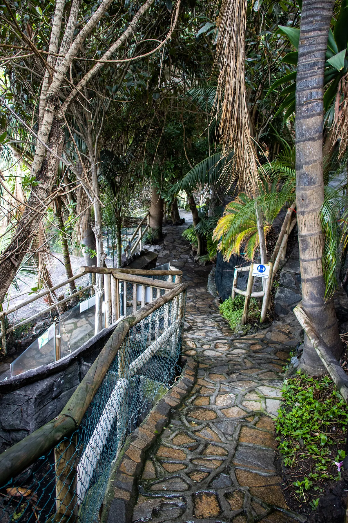 MAROPARQUE ISLA DE LA PALMA