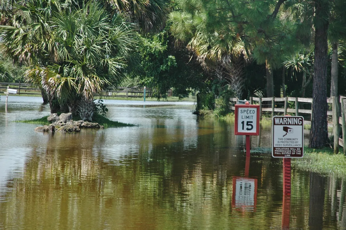 Lion Country Safari