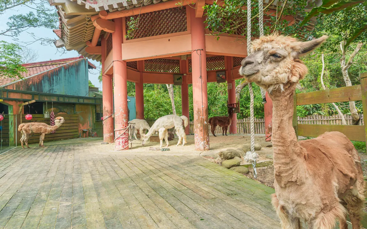 Taipei Zoo