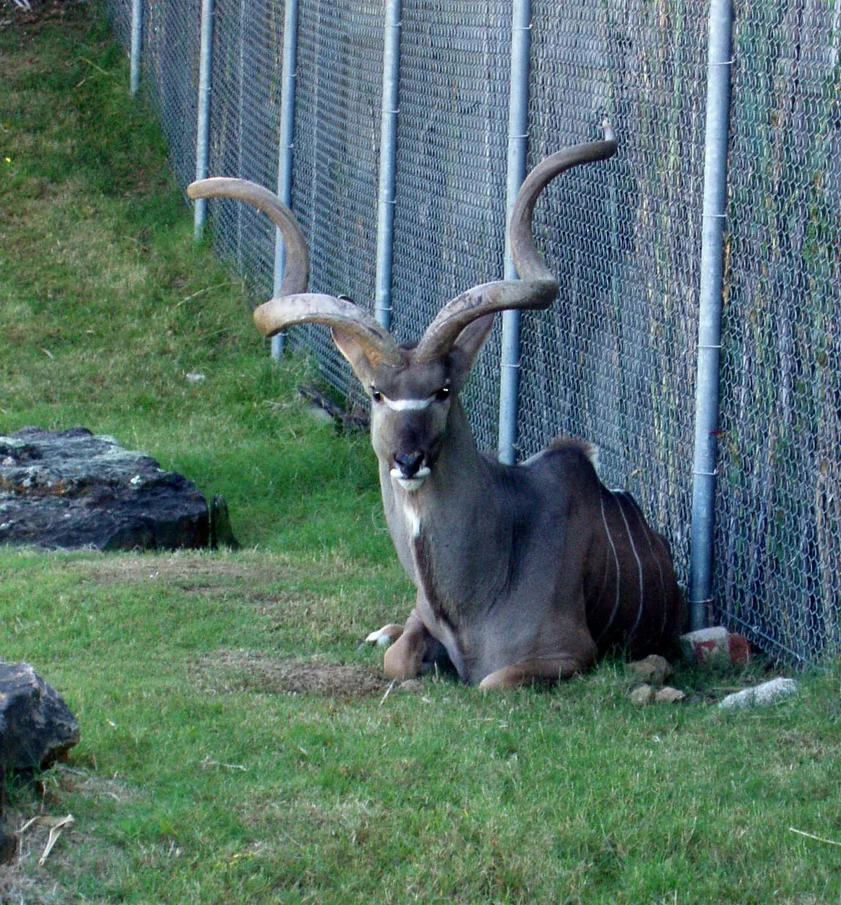Tulsa Zoo