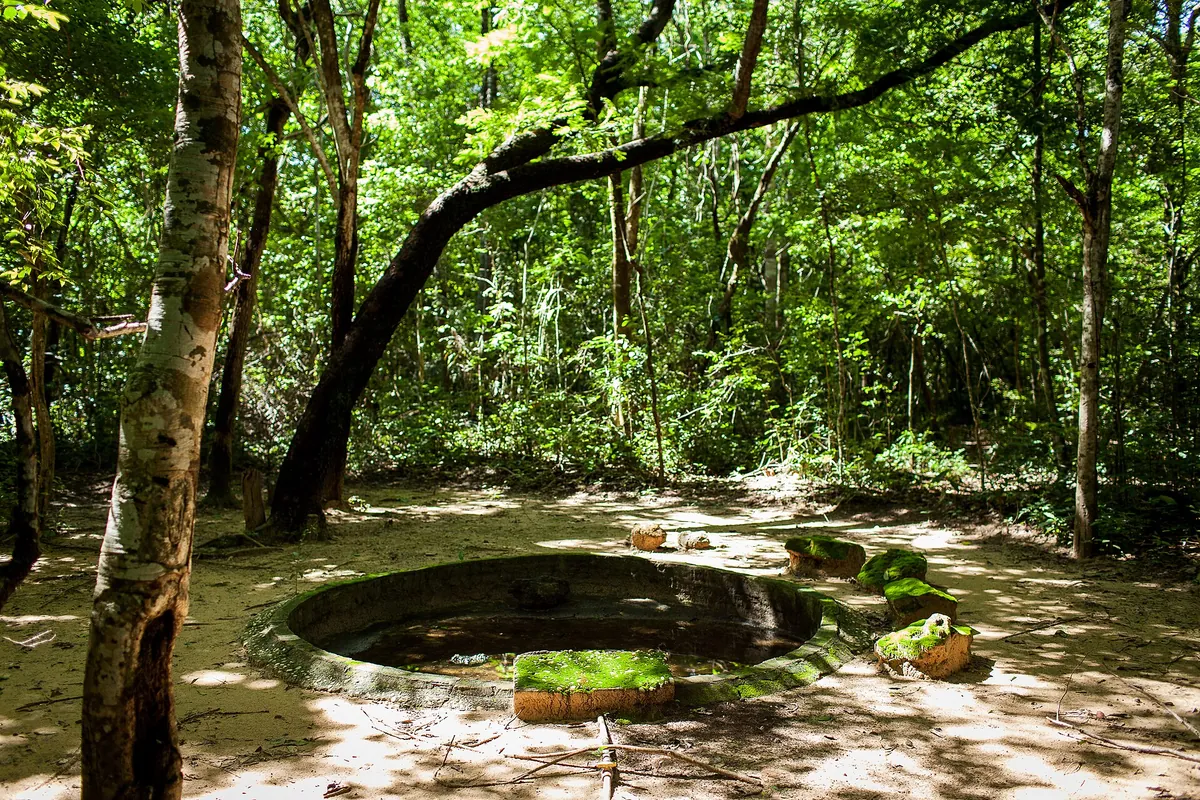 Parque Zoobotânico de Teresina