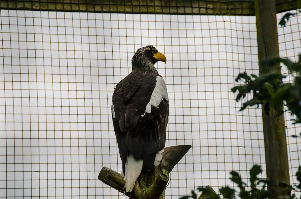 Hawk Conservancy Trust