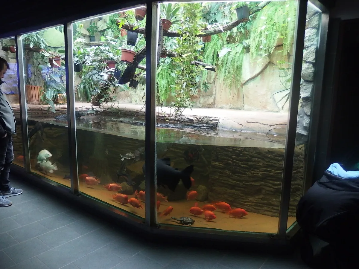 Hodonín Zoo