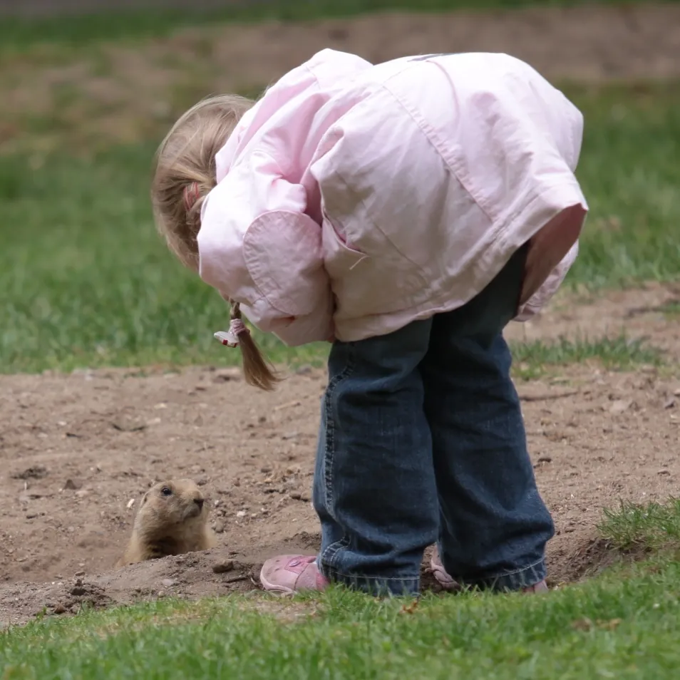 Zoologischer Garten Schwerin