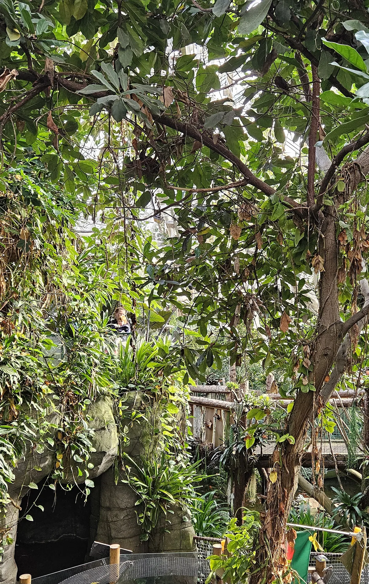 Plantasia