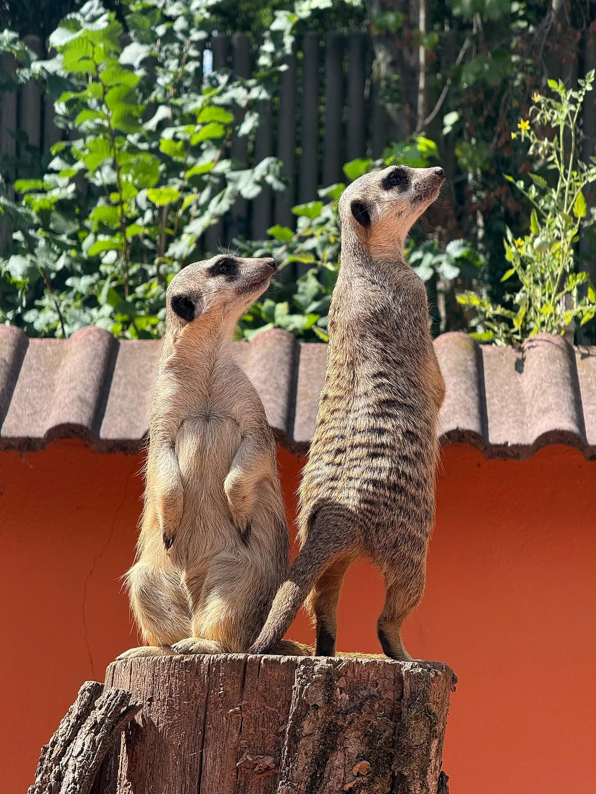 Bratislava Zoo