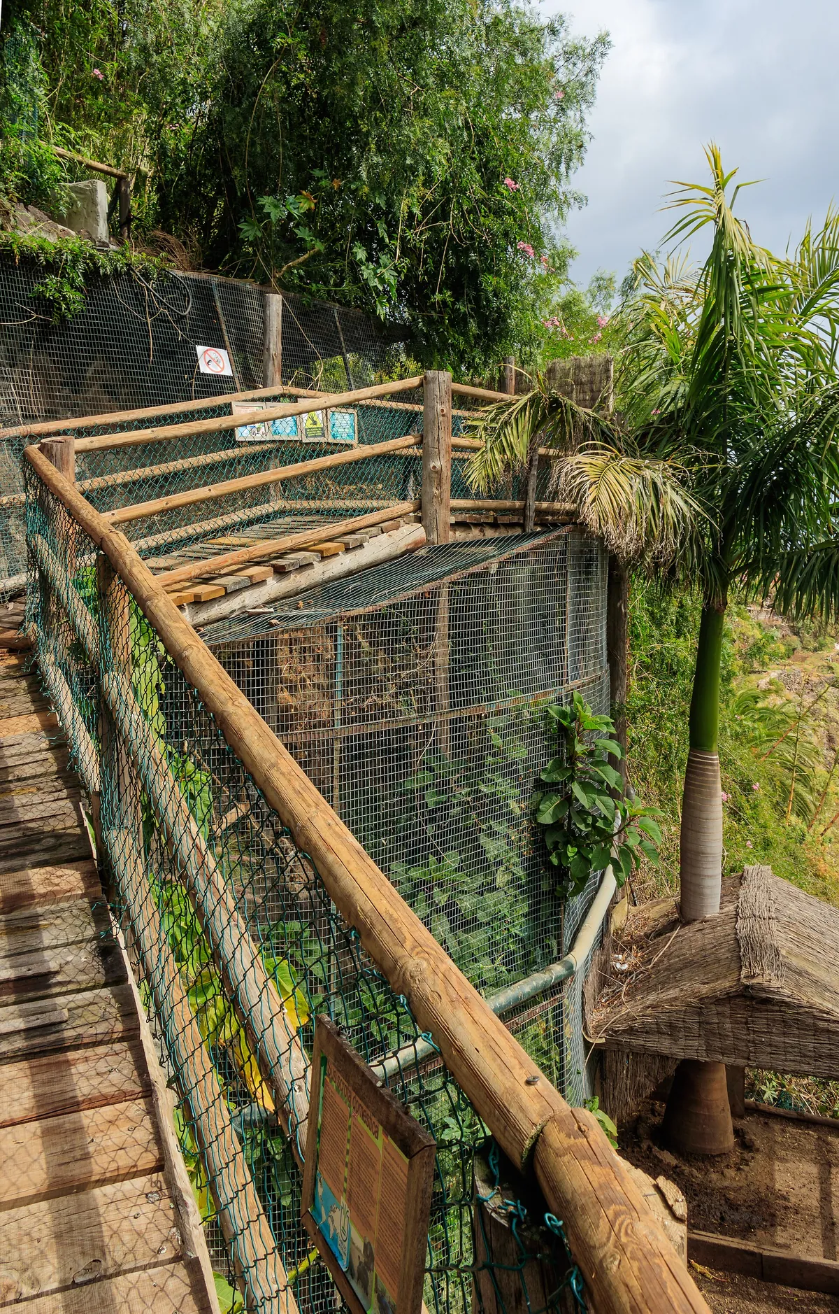 MAROPARQUE ISLA DE LA PALMA
